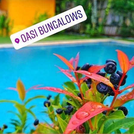 Oasi Bungalows Hotel Gili Air Exterior photo