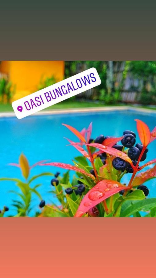 Oasi Bungalows Hotel Gili Air Exterior photo