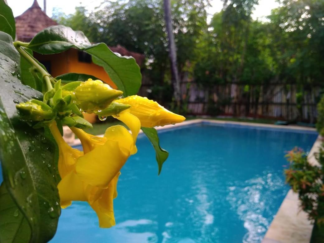 Oasi Bungalows Hotel Gili Air Exterior photo